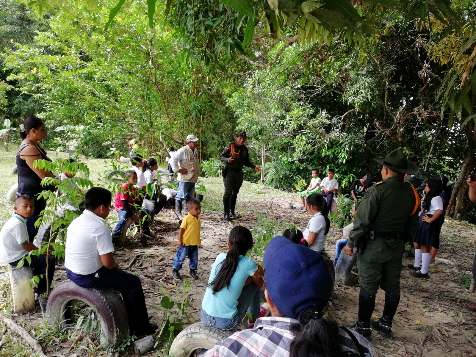 plantas nativas fueron sembradas