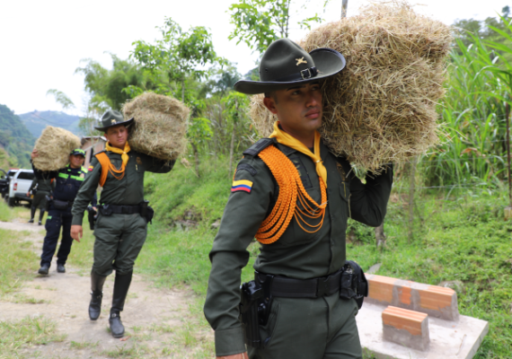 Carabineros en Caldas, entregan más de 45 pacas de heno en la brigada de bienestar animal ante una posible caída de ceniza