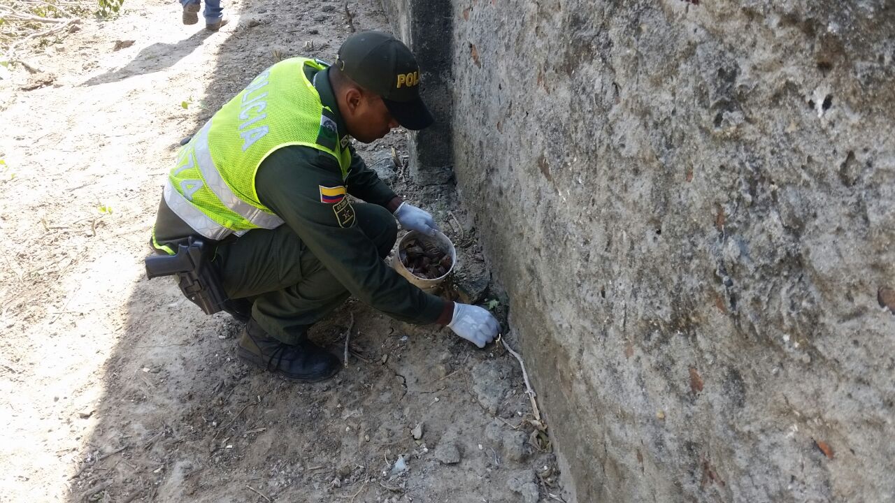 El caracol africano es portador de graves enfermedades