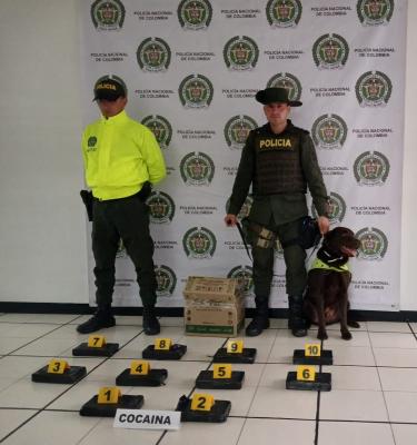 Incautamos-10-kilos-de-coca&iacute;na-en-la-localidad-de-Suba