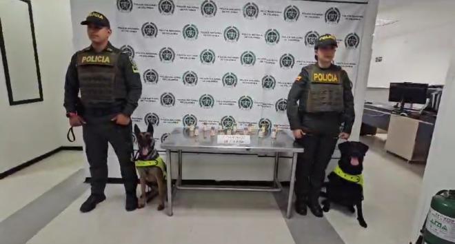 cocaína fue detectada por chiki