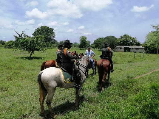 Con campañas puerta a puerta buscamos evitar el robo de ganado en Bolívar  