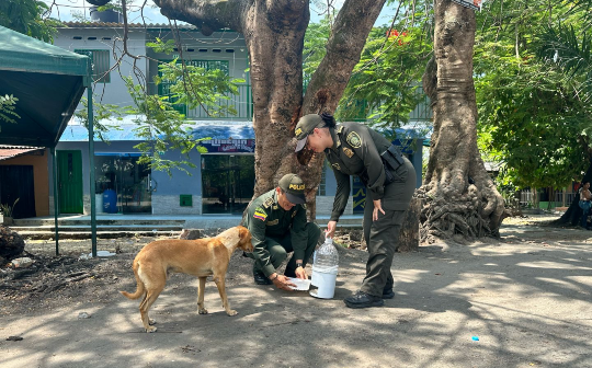 Con material reciclado la Policía fábrica bebederos artesanales de agua, para hidratar perros, gatos en estado de abandono 