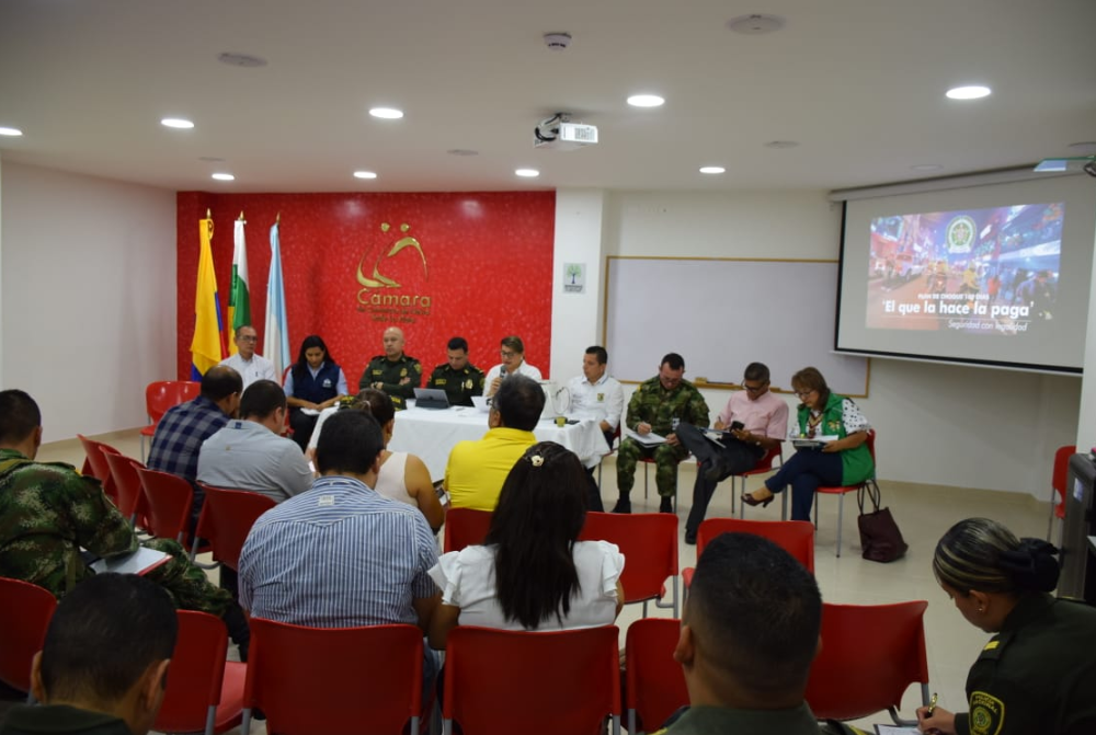 consejo_de_seguridad_en_la_plata_zona_occidente