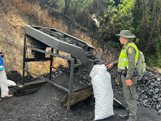 Desmantelamos fábrica de carbón vegetal en Medellín 