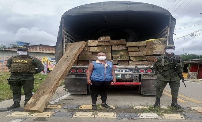 Continuamos los controles para frenar la tala de árboles y el tráfico ilegal de madera