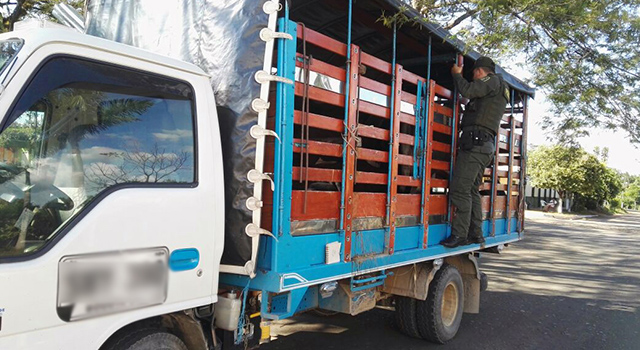contra el abigeato-en el Meta-policía