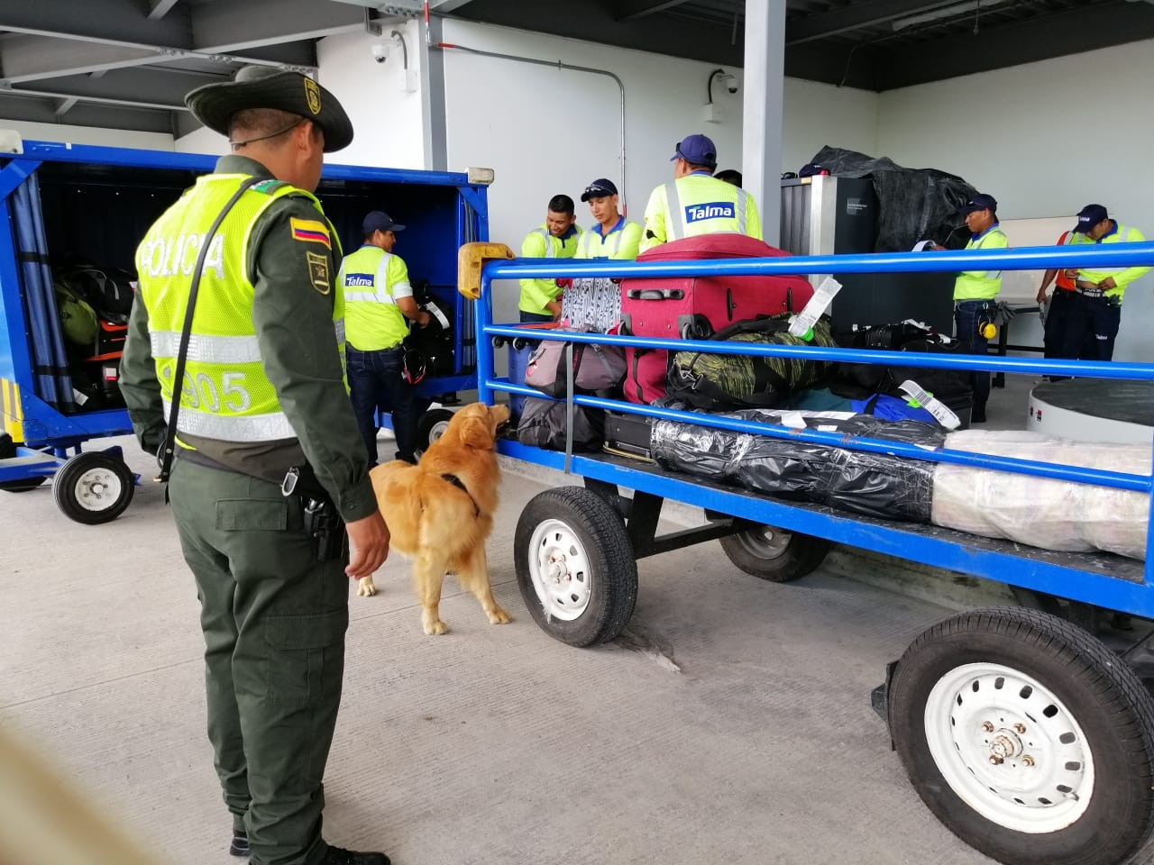 control-trafico-fauna