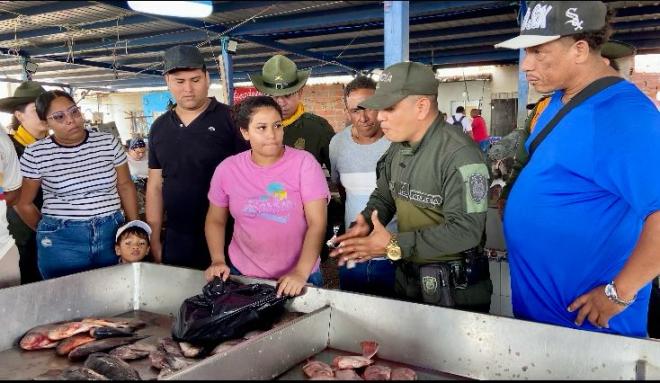 Verifique el estado del pescado: Debe tener buen olor, ojos brillantes, escamas firmes y branquias de color rojo o rosado.