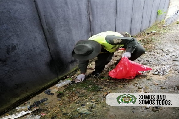 controlados-caracoles-africanos-quibdo