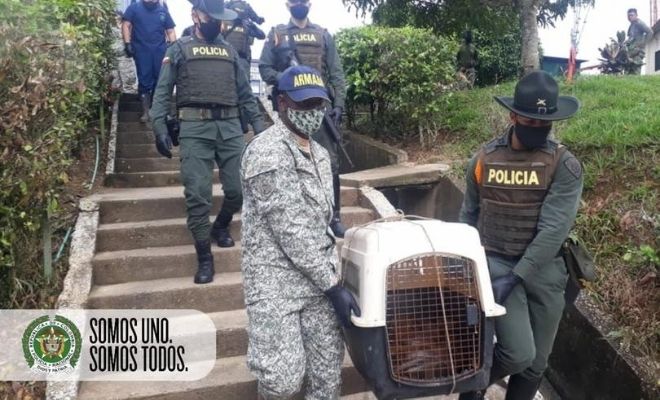 Cooperación interinstitucional para la protección del medio ambiente2