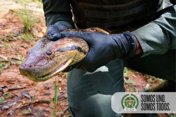 Cooperación interinstitucional para la protección del medio ambiente3