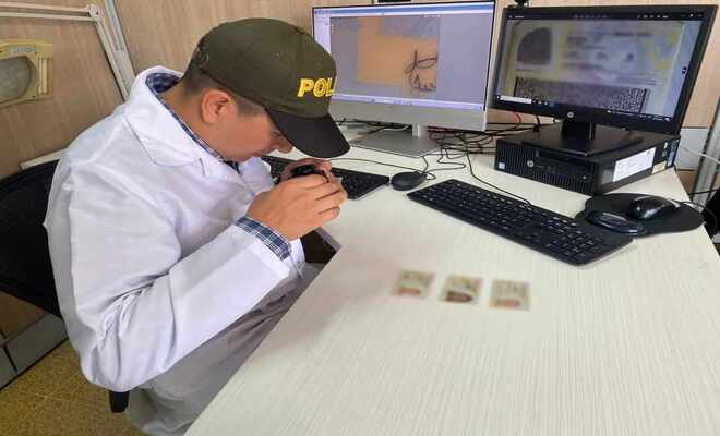 "Cuerpo Élite Contra Delitos Electorales" 