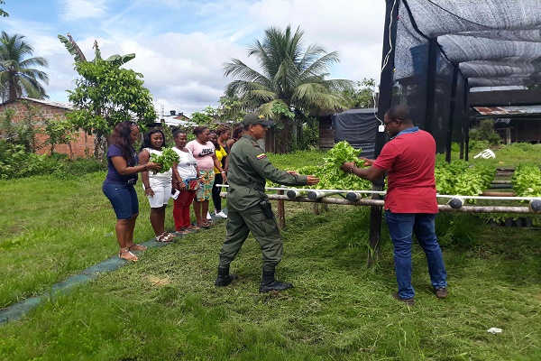 Con-nueva-técnica-de-cultivo-la-Policía-Nacional-aporta-a-la-alimentación-de-la-comunidad-de-Paimadó