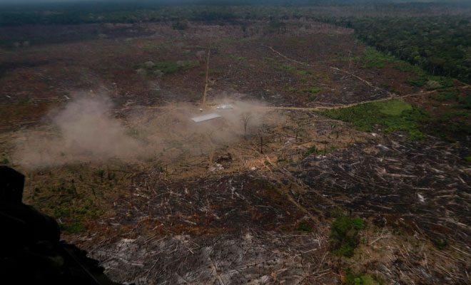 deforestacion amazonia colombiana