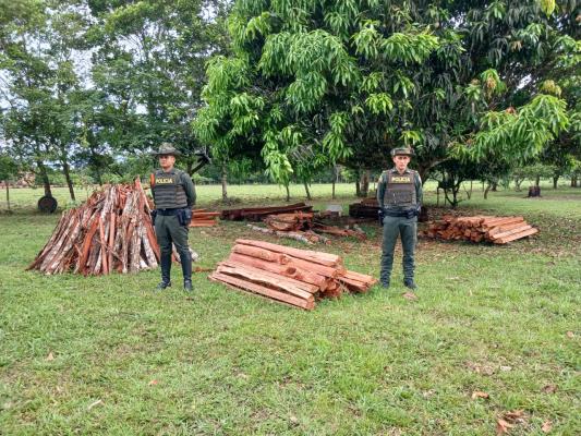La Policía Nacional junto a autoridades ambientales del Meta incautaron 130 bloques de madera 