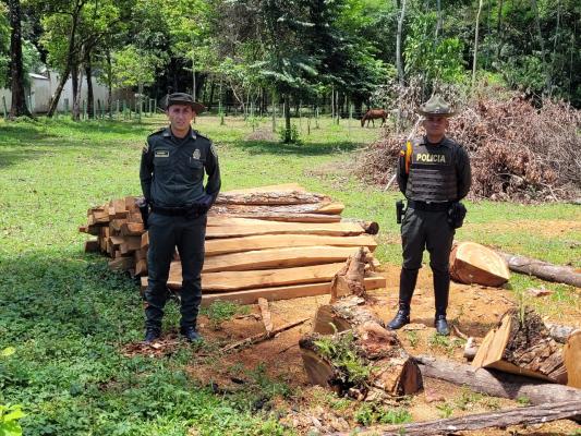 Deforestación en el municipio de Guamal