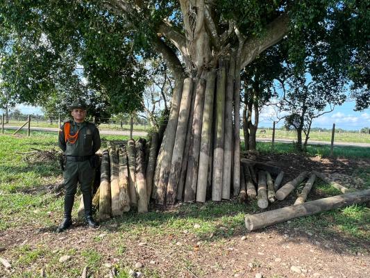 Deforestación en el municipio de San Martín