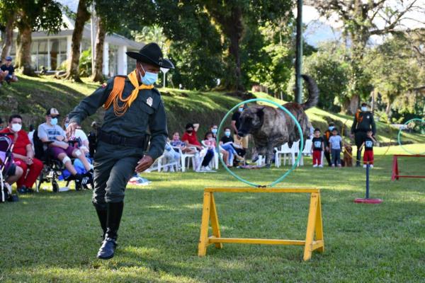 Deja-volar-tus-sueños-2