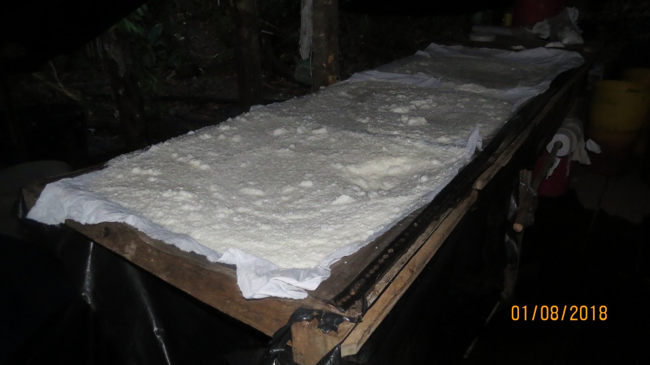 Destruidos-ocho-laboratorios-para-el-procesamiento-de-cocaína