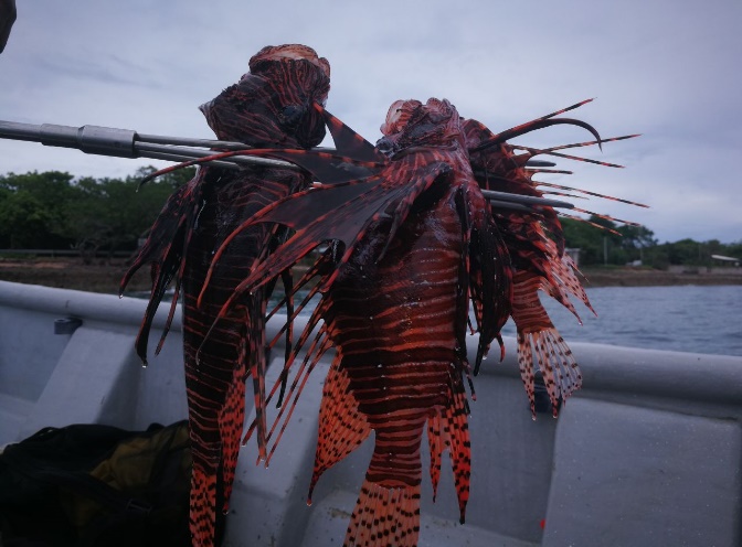  dia-mundial-de-los-oceanos4