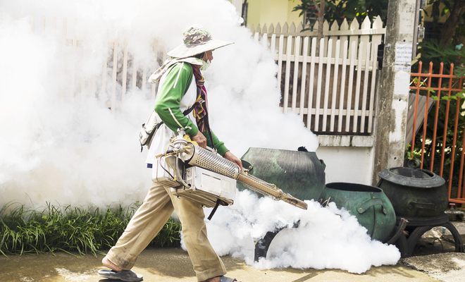 Drene depósitos de agua estancados, fumigue regularmente y vista indumentaria de protección en lugares donde el paludismo sea común.