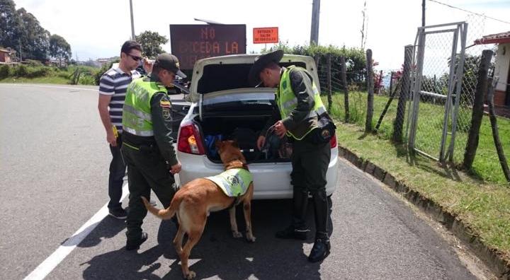 Policía-se-incauta-de-400-kg-de-marihuana-que-irían-hacia-cartagena-1