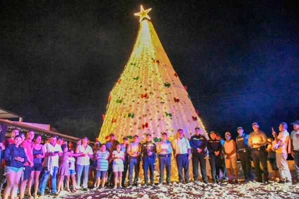 El árbol más grande del Meta