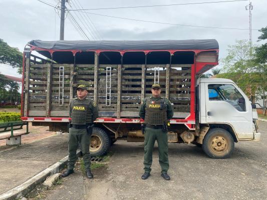 Acciones operativas contra el hurto sobre cabezas de ganado en el Meta