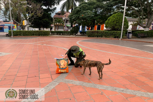 Estamos comprometidos con la protección animal 