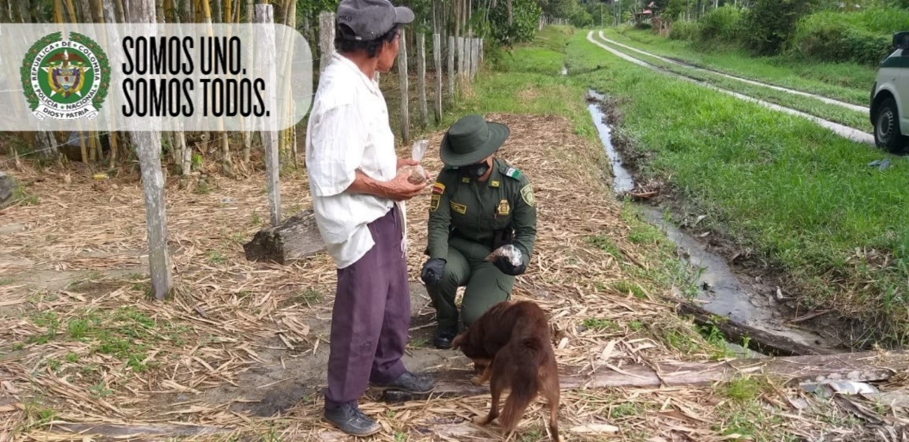 Comprometidos con el medio ambiente
