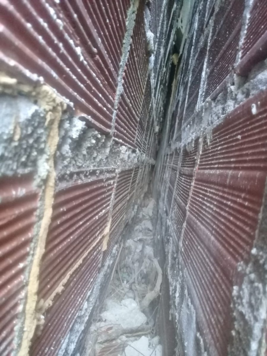 en-salazar-de-las-palmas-rescatamos-un-gato-atrapado-entre-dos-paredes