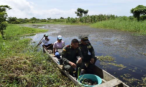 La actividad ecológica se llevó a cabo en el complejo cenagoso de Purísima