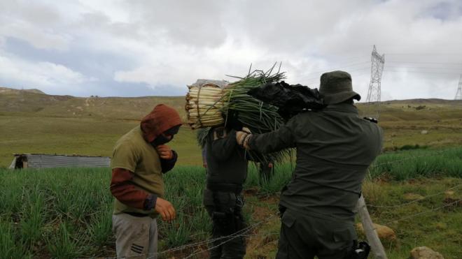 En_Berlín_los_policías_trabajan_junto_a_los_agricultores_para_comercializar_sus_productos_2