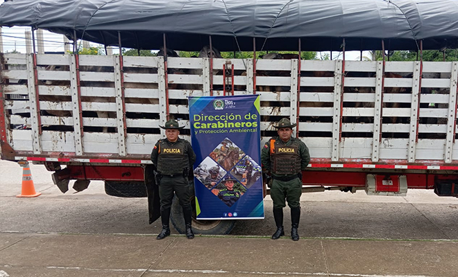 Los animales quedaron a disposición de la autoridad competente