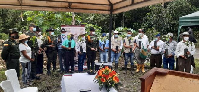 En_Coromoro_entregamos_10_mil_plántulas_de_cacao_a_familias_campesinas_1