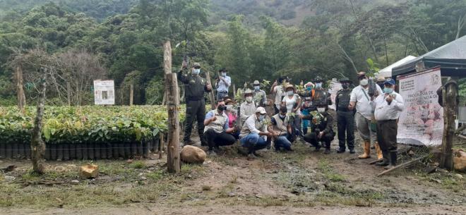En_Coromoro_entregamos_10_mil_plántulas_de_cacao_a_familias_campesinas_5