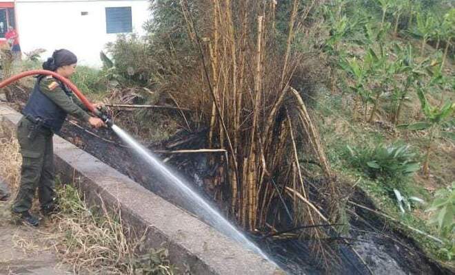 Gracias a la rápida reacción de la Policía Nacional y bomberos se logró controlar un incendio forestal en zona rural de Falan