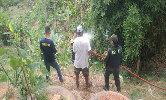 Gracias a la rápida reacción de la Policía Nacional y bomberos se logró controlar un incendio forestal en zona rural de Falan
