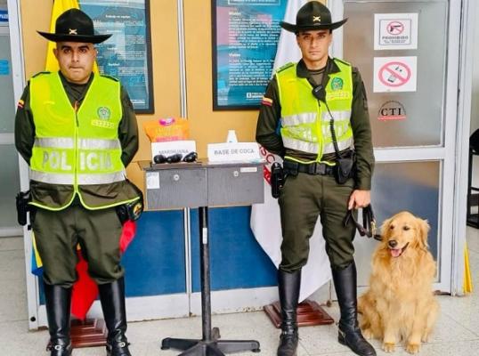 mediante encomienda enviaron droga en palomitas de maíz