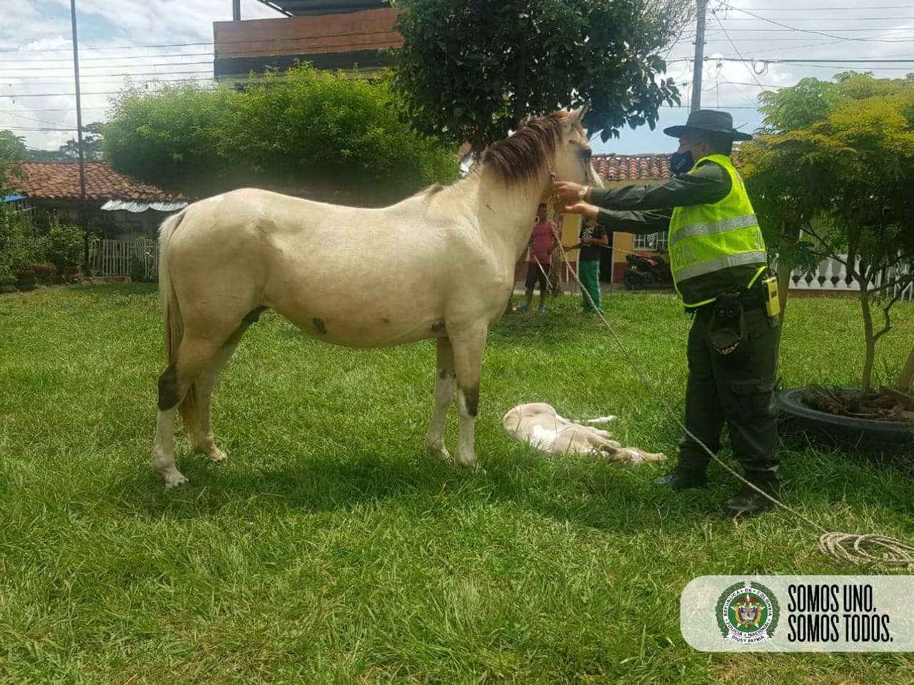 Equina momentos después de haber dado a luz