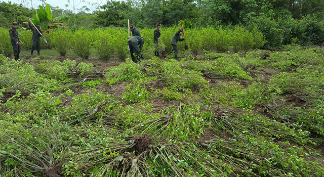 Avanza-“Plan Institucional todos contra el Narcotráfico”-Policia-Meta