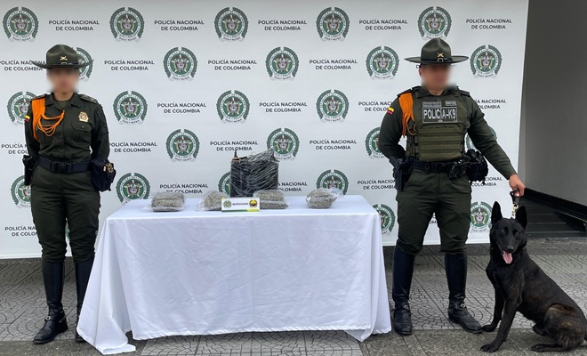 Dos policías, una mascota custodian incautación de marihuana