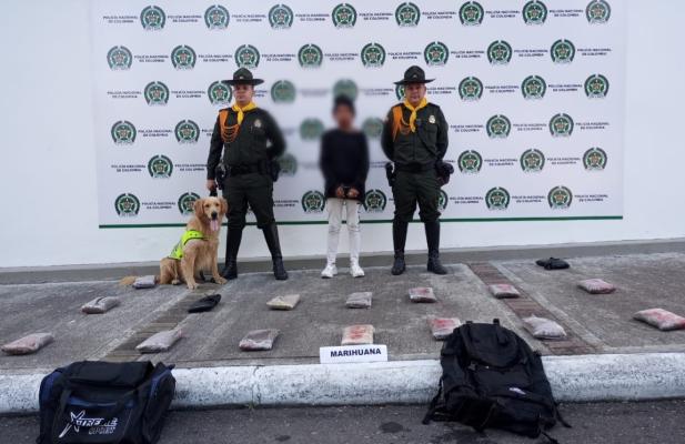 Portaba 15.000 dosis de marihuana