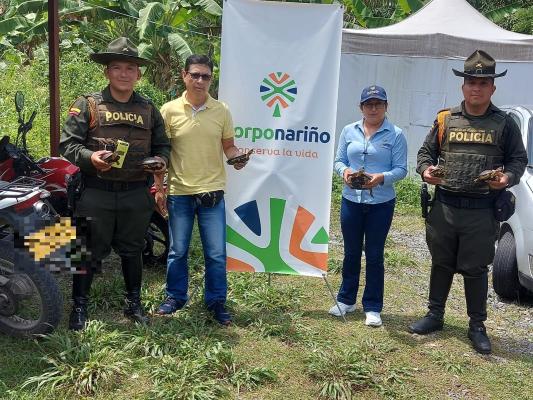 rescatan tortugas que iban a ser comercializadas como  tráfico de fauna silvestre 