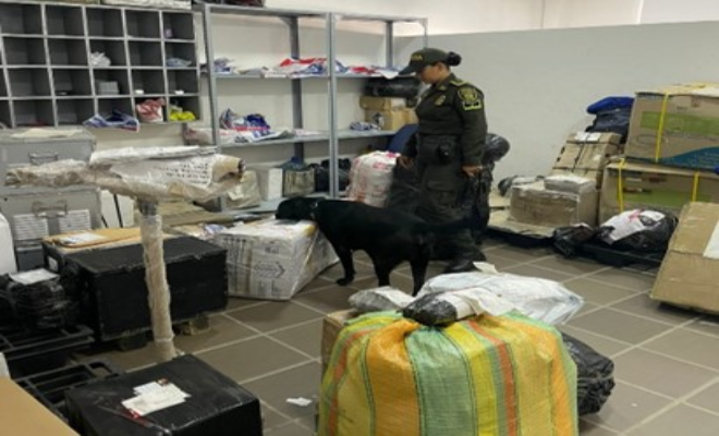 registros- de -caninos