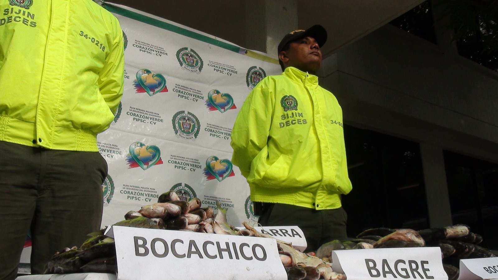 foto-Policía-Nacional-se-incauta-de 315-kilos-de-pescado