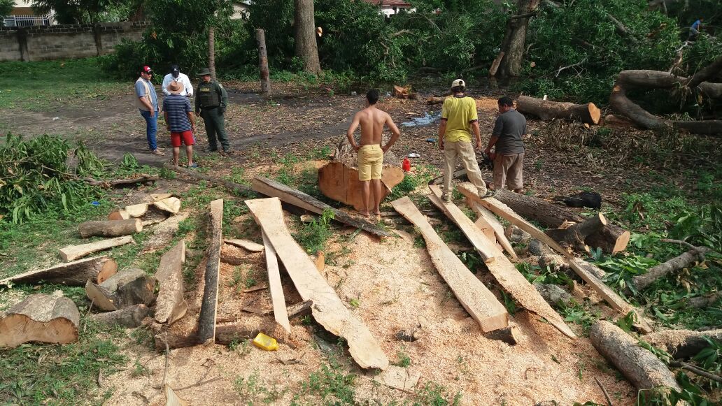 policias-realizando-incautacion-de-madera