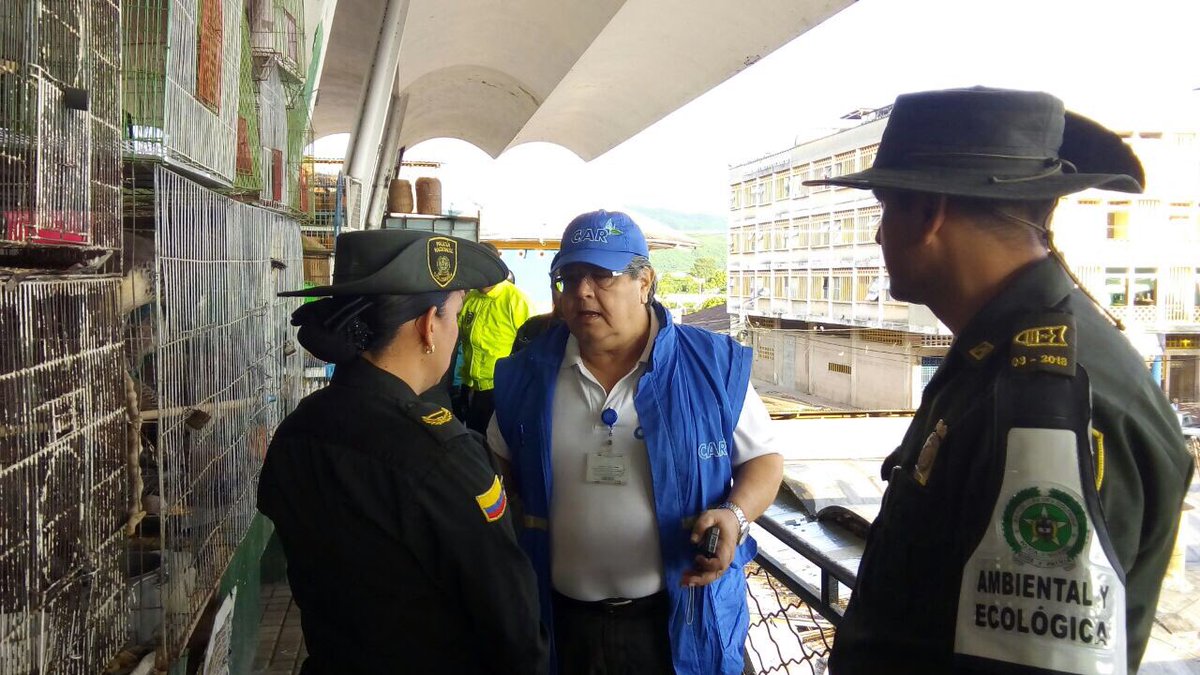 control-al-trafico-de-especies-silvestre