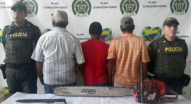 La Policía Nacional-frustra-nuevo intento-de tala indiscriminada de árboles